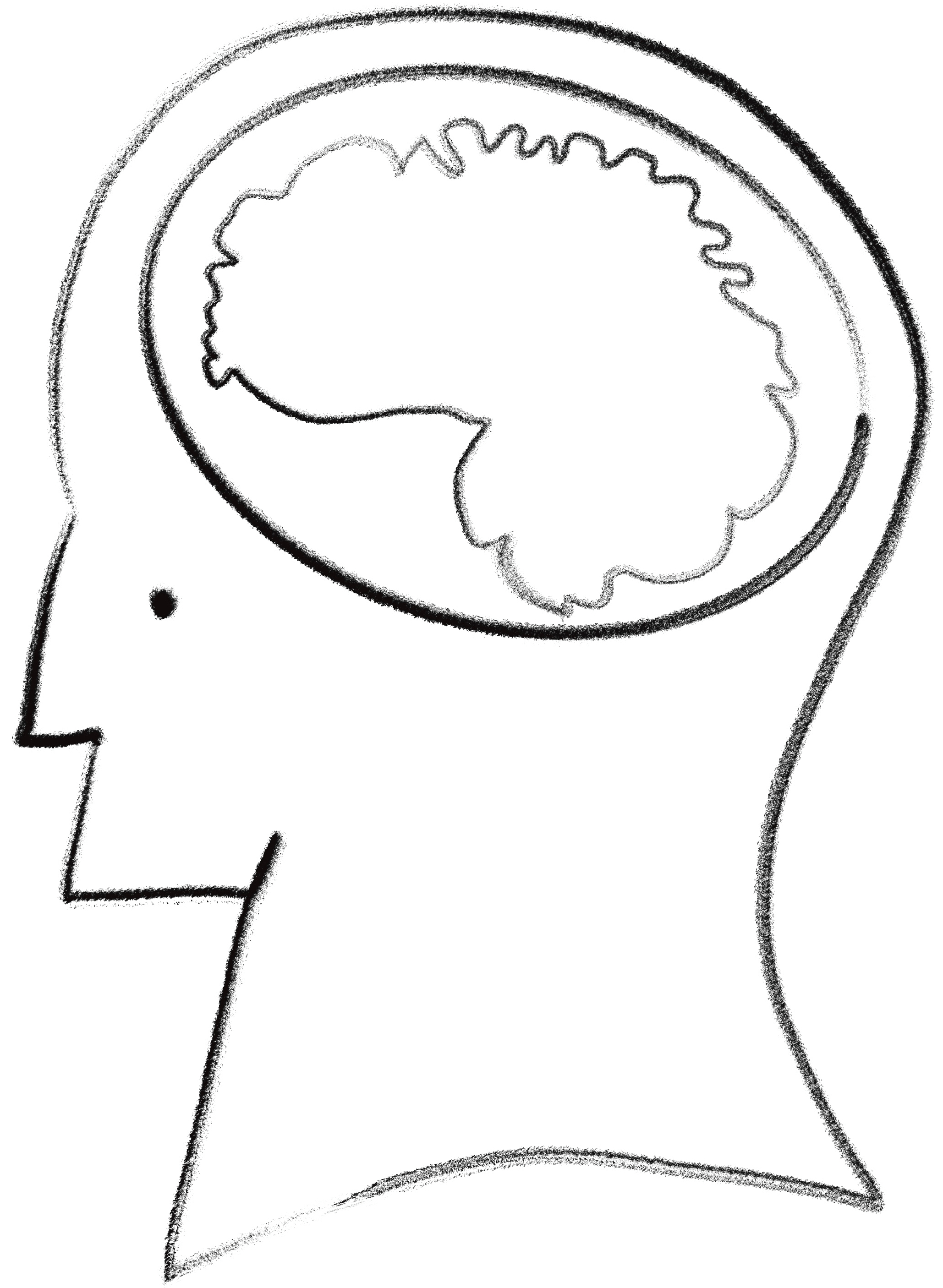 Sketch of a brain